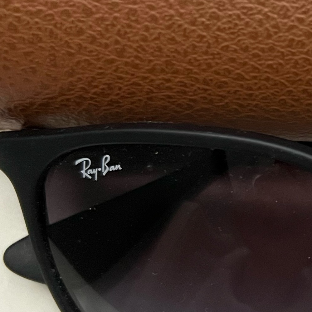 Ray Ban Unisex Erica Sungasses with Case